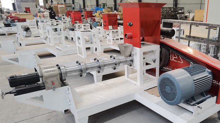 locally made twin screw extruder machine Factory for sale in Angola